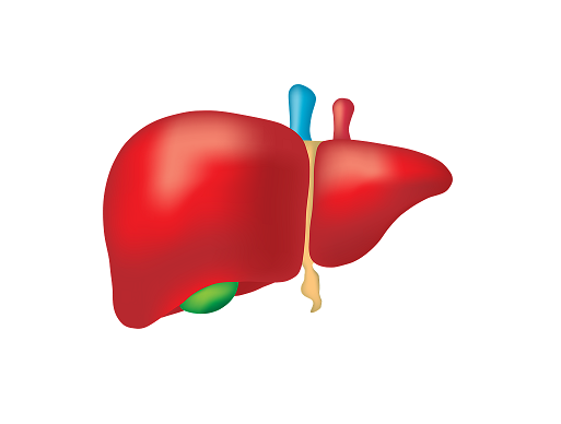 Gall Bladder