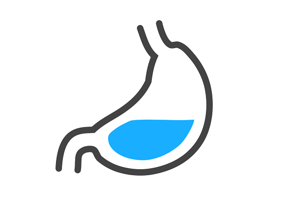 Stomach